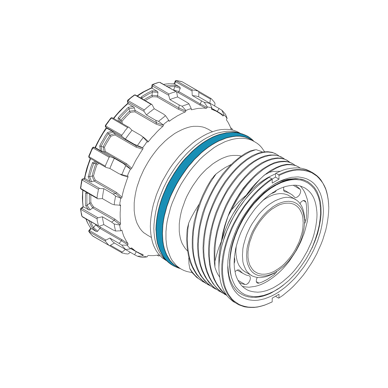 Objevtive LensesO Oring