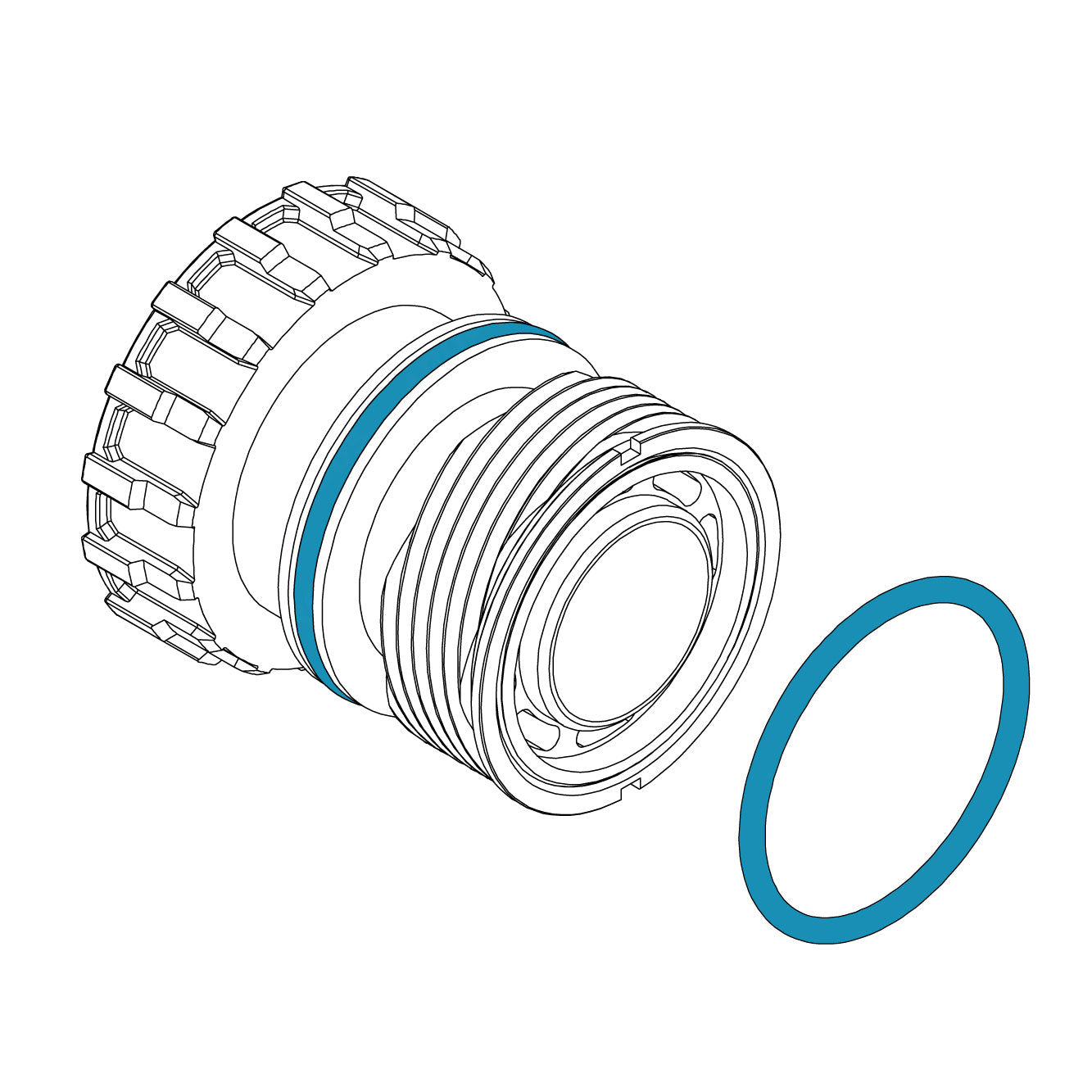 Objevtive LensesO Oring